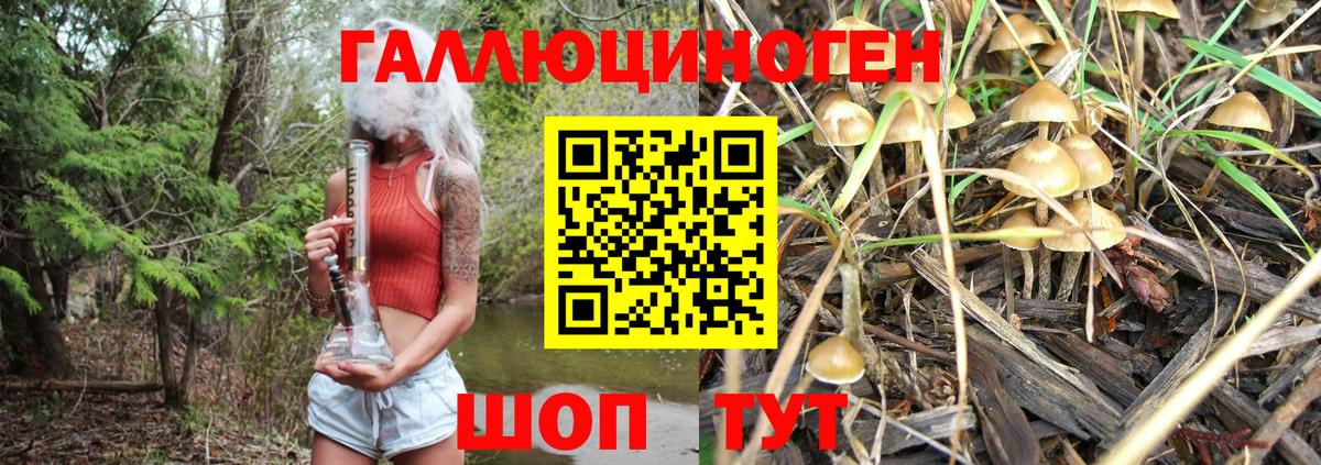 Галлюциногенные грибы мицелий Сарапул